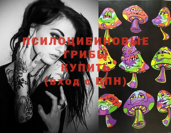 герыч Каменногорск