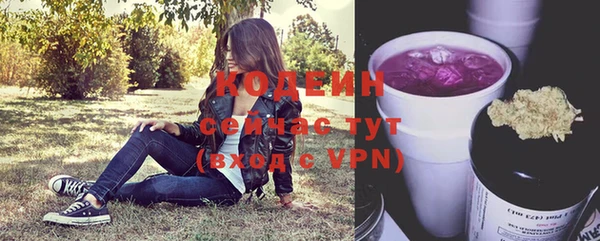 амфетамин Каменка